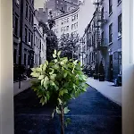 Superbe Avec Patio Apartamento