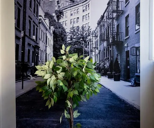 Superbe Avec Patio Daire